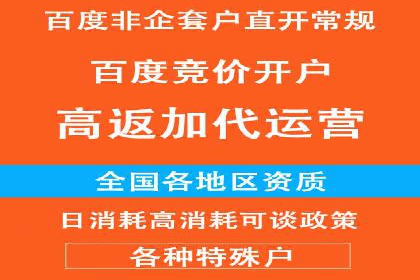 百度推广运营技巧揭秘：实战案例分析